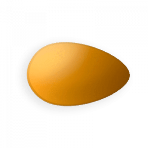 Vidalista